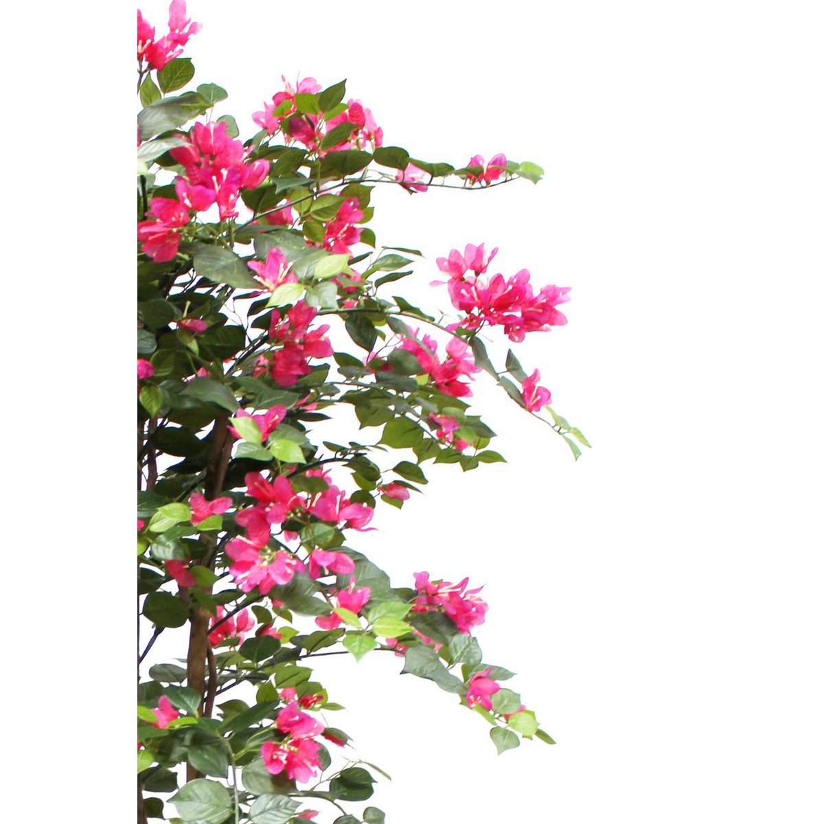Kunst Bougainvillea 150 cm – Tropische charme zonder onderhoud