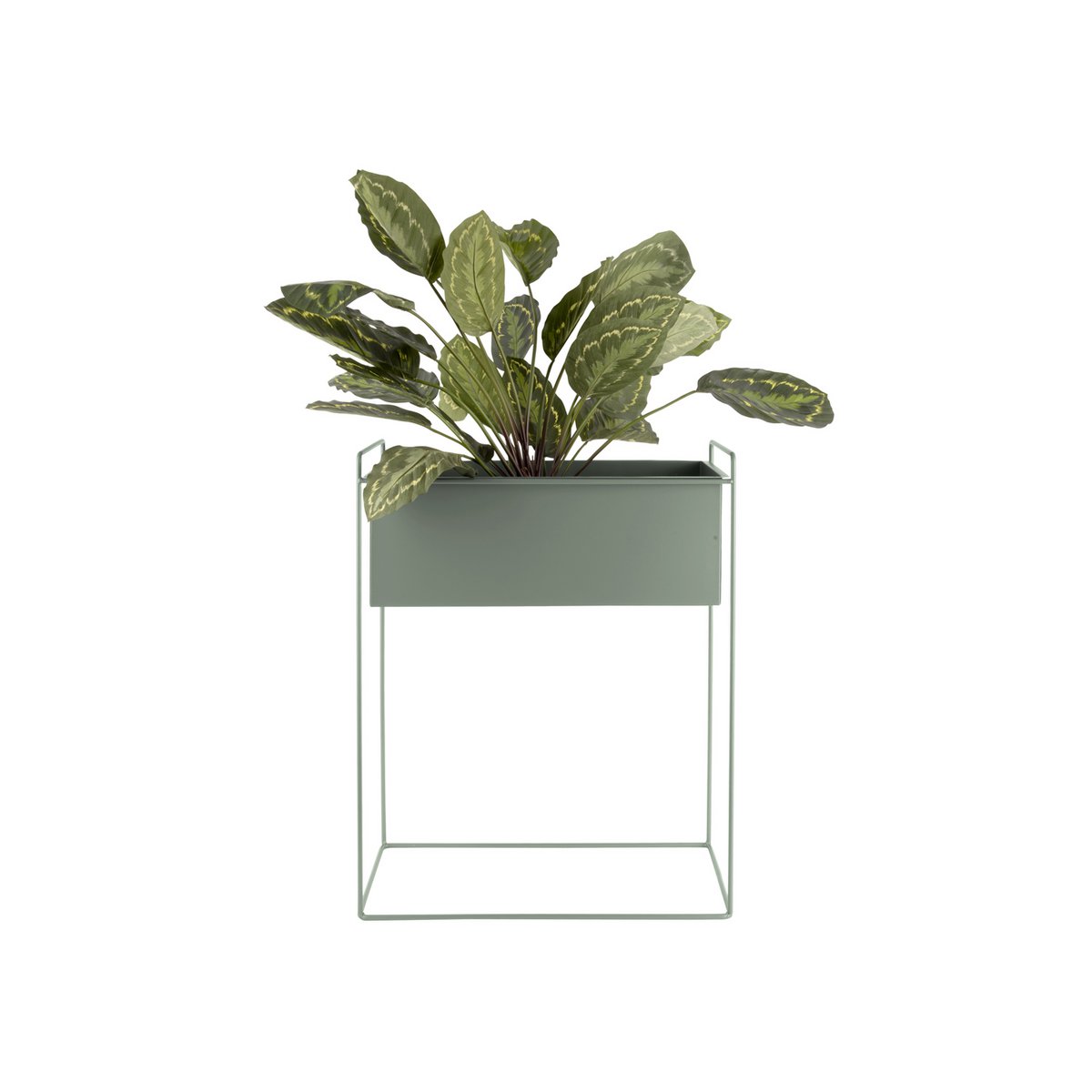 Essence Plantenpotserie Groen – Tijdloze Elegantie voor Jouw Planten
